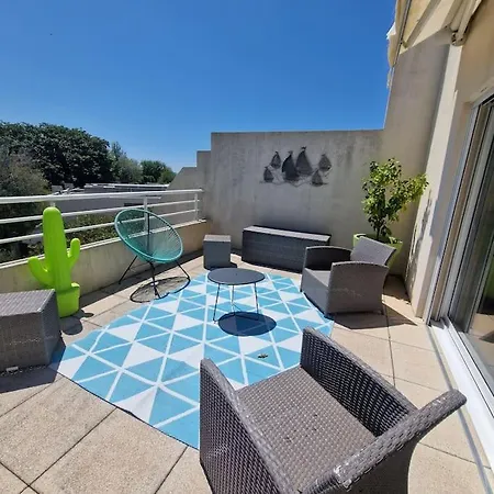 Spacieux Et Elegant T3 En Bord De Appartement